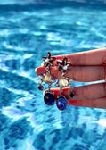 Playa Estrella Beach Resort Earrings