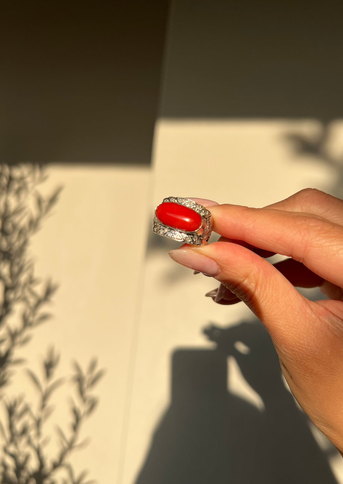 Japanese Red Coral (OX Blood Coral) and Diamond Ring in 18K White Gold