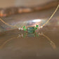 Lagoon Green Tourmaline Necklace 18K Solid Gold | Natural Tourmaline Diamond Necklace | Bluish Green Tourmaline Fine Jewelry | Ocean Gem