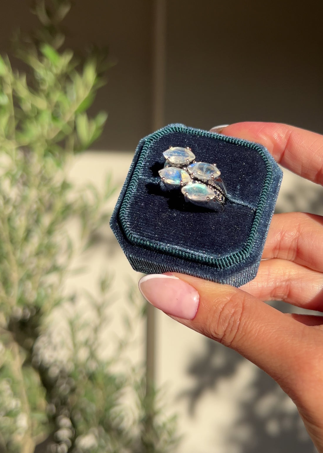 Navette Moonstone & Sapphire Cocktail Ring