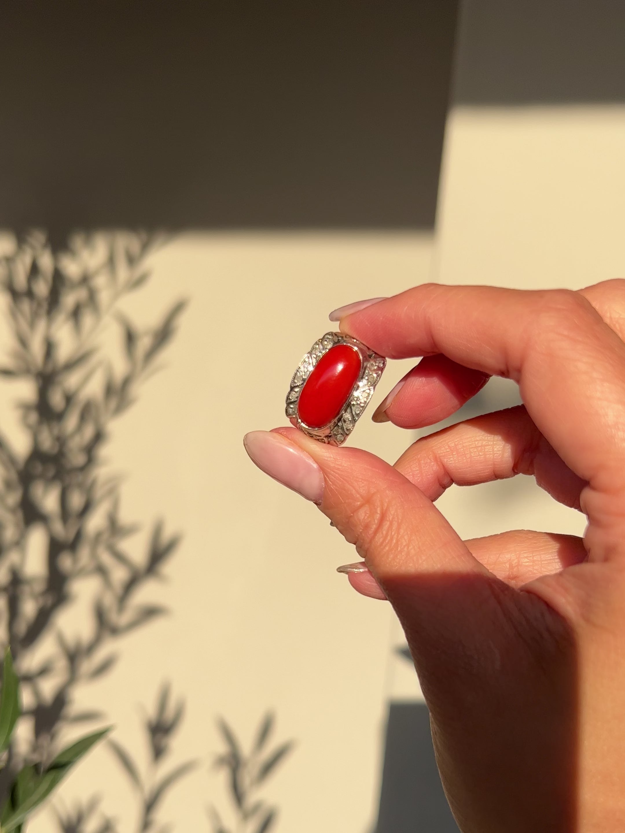 Japanese Red Coral (OX Blood Coral) and Diamond Ring in 18K White Gold