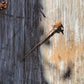 Lily Gold Hair Stick