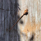 Forget Me Not Gold Hair Stick